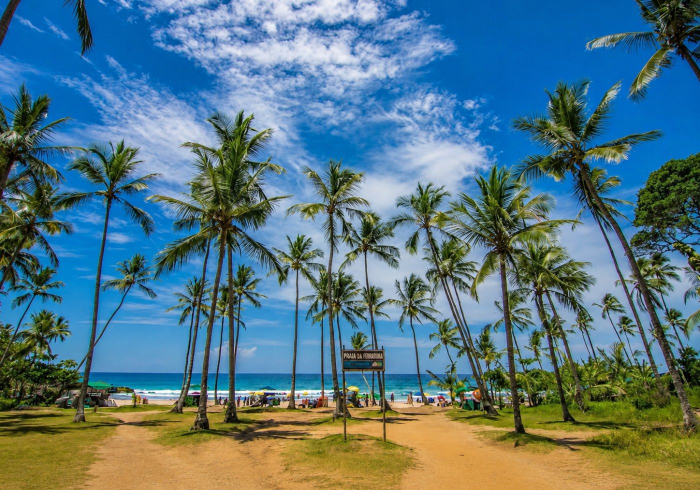 Praia da Feiradura, em Itacaré, com coqueirais