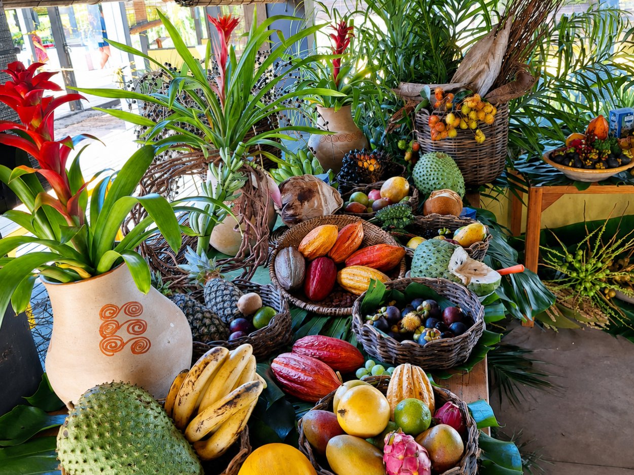 Mesa de frutas tropicais e cacau do sul da Bahia