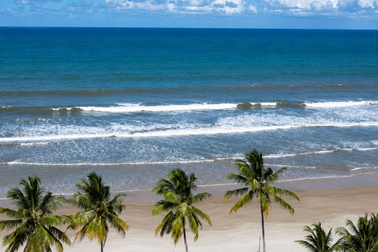 Praia de coqueiros vista de cima, na Ilha de Comandatuba